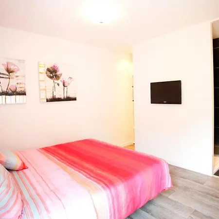 Holiday Droompark De Zanding.3 *